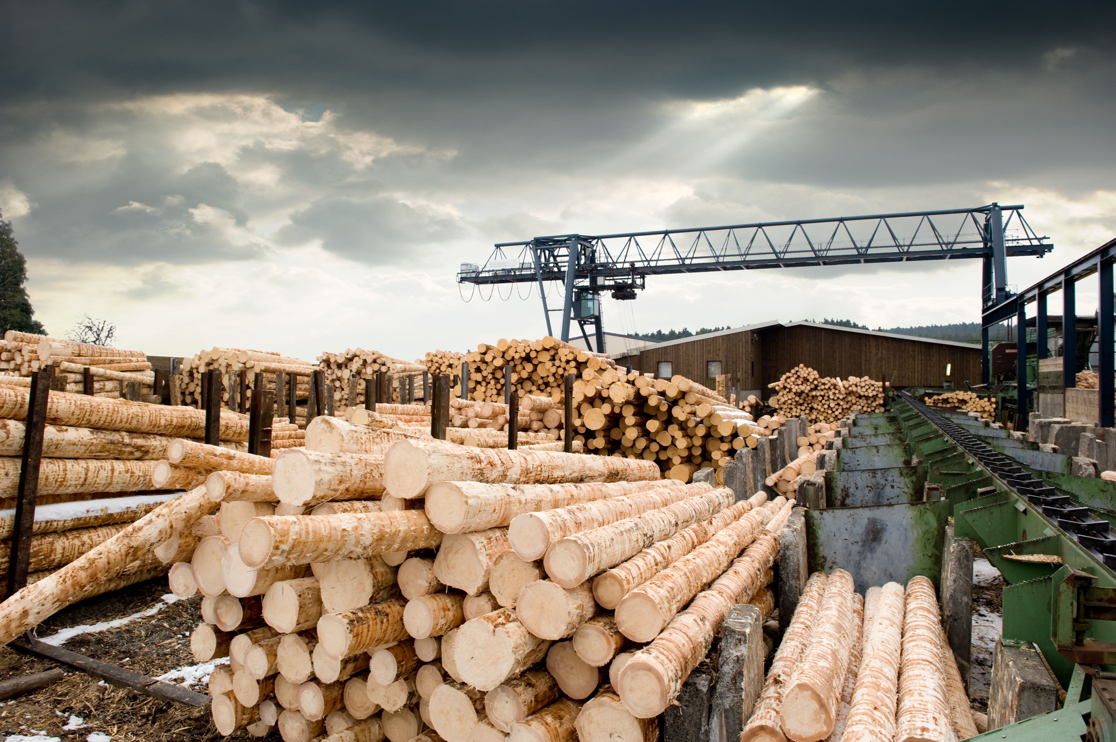 Forestry, PULP & paper work environment